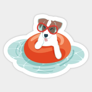 Summer pool pawty // aqua background Jack Russell terrier dog breed in vacation playing on swimming pool Sticker